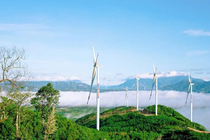 Nhà máy điện gió AMACCAO Quảng Trị - Ảnh: AMACCAO