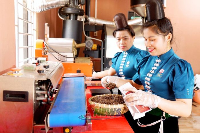 Đóng gói sản phẩm tại HTX Ara-Tay Coffee, xã Mường Chanh.