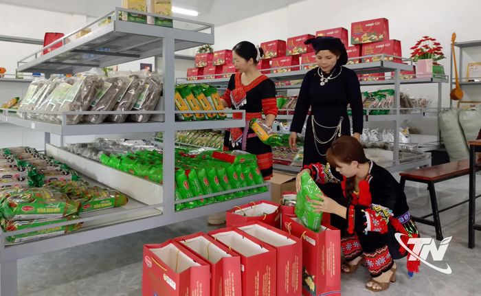 Sản phẩm của Hợp tác xã Tài Hoan được công nhận OCOP 5 sao cấp quốc gia từ năm 2021 và đến nay vẫn đang được duy trì.