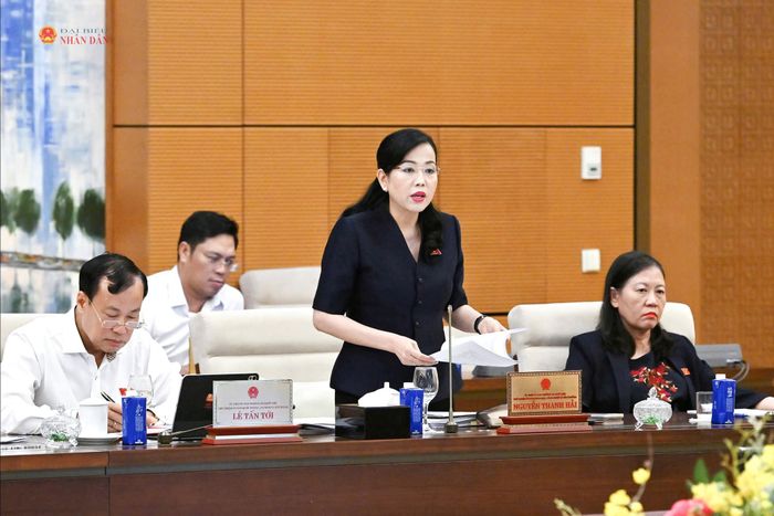 Chủ nhiệm Ủy ban Khoa học, Công nghệ và Môi trường Nguyễn Thanh Hải phát biểu. Ảnh: Hồ Long