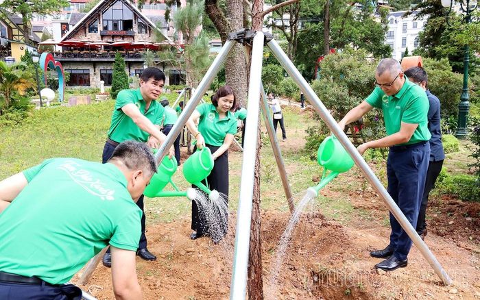 Bí thư Tỉnh ủy Phạm Đại Dương; Phó Chủ tịch UBND tỉnh Phùng Thị Kim Nga và đại diện lãnh đạo các sở, ngành trồng cây, tạo không gian xanh cho Khu du lịch Tam Đảo. (Nguồn ảnh: Cổng thông tin điện tử tỉnh Phú Thọ)