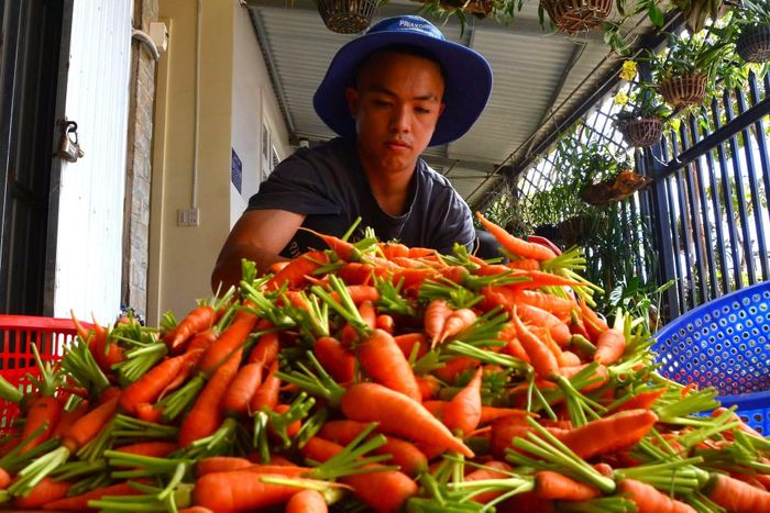 Nông sản Đà Lạt chịu sự cạnh tranh khốc liệt từ các mặt hàng cùng loại.