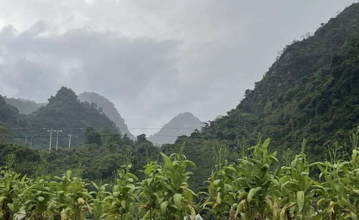 Trong khoảng thời gian hiện tại cho đến một vài giờ tới, những vùng mây đối lưu này sẽ tiếp tục phát triển, di chuyển gây mưa rào, cục bộ có mưa to và rải rác có dông.
