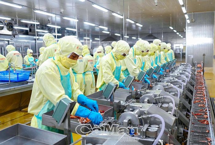  Dây chuyền chế biến hiện đại tại Công ty TNHH Chế biến Thủy sản Minh Phú Khánh An đòi hỏi nguồn nhân lực có trình độ chuyên môn, kỹ năng số và khả năng thích ứng với công nghệ mới.