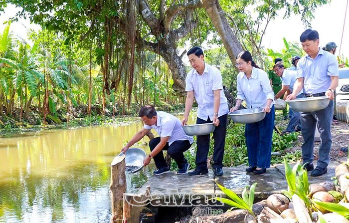 Đồng chí Hồ Trung Việt cùng lãnh đạo xã Khánh Bình thả cá giống tại khu vực Ấp 5.
