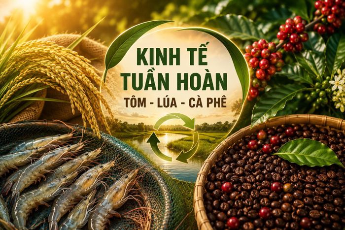 Việt Nam là một trong những quốc gia xuất khẩu gạo lớn nhất thế giới, đứng thứ hai về xuất khẩu tôm và dẫn đầu thế giới về sản xuất cà phê Robusta. Ảnh minh họa do AI tạo ra.