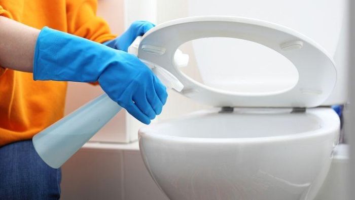 Đặt sản phẩm khử mùi trong nhà vệ sinh