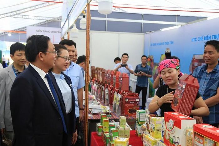 Khu trưng bày quy tụ 79 gian hàng của các doanh nghiệp, hợp tác xã và địa phương trong tỉnh. Nhiều sản phẩm OCOP, sản phẩm xuất khẩu, hàng hóa đặc trưng, tiêu biểu cùng các nhóm sản phẩm có tiềm năng, lợi thế cạnh tranh được lựa chọn giới thiệu.