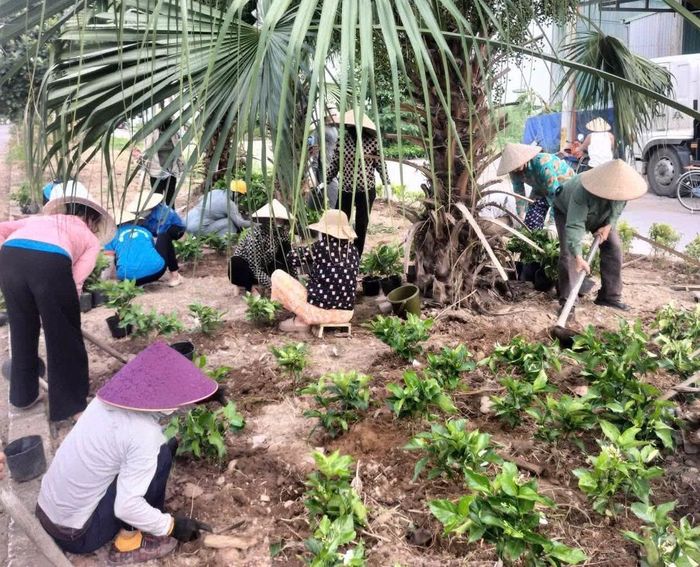 Hàng hoa, cây xanh được trồng ngay ngắn, mang lại không gian sạch đẹp, tạo cảm giác thân thiện cho người dân. Ảnh: HL