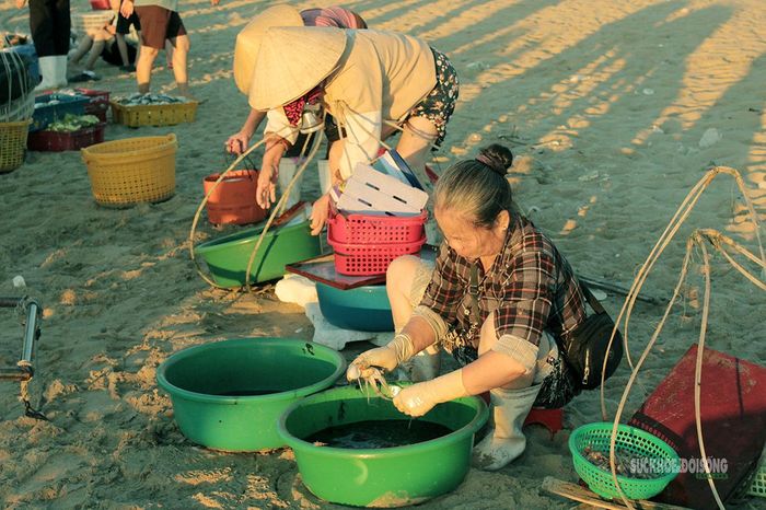 Giữ hải sản tươi sống trước khi bán.