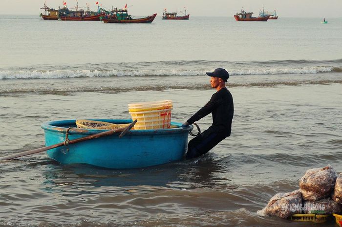 Ngư dân đưa thuyền thúng vào bãi.