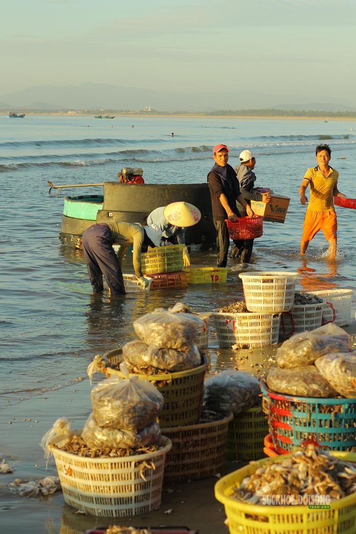 Hải sản được chuyển khỏi thuyền.