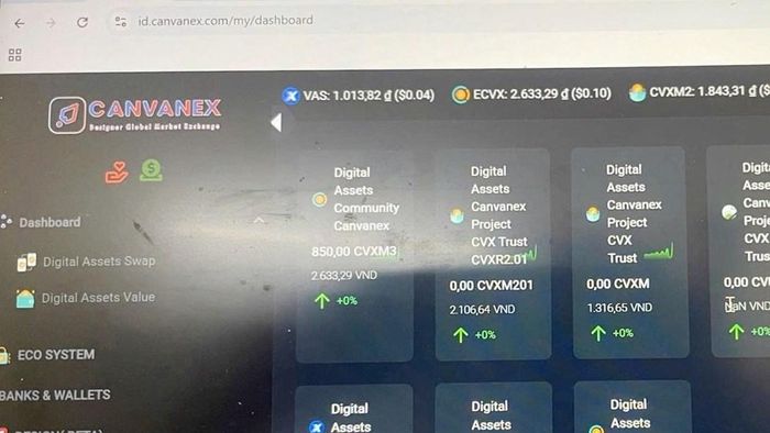Giao diện trang web CANVANEX
