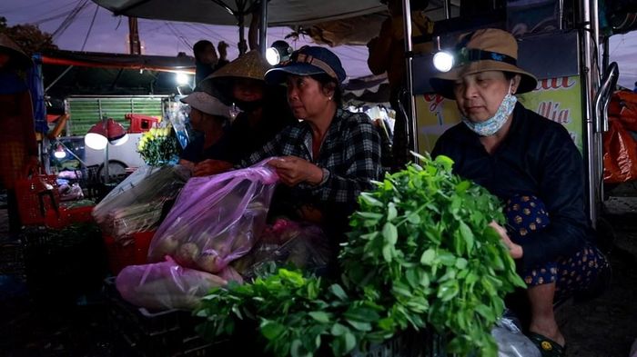 Những bó rau vừa thu hoạch còn đẫm hơi sương được người dân đưa đến chợ
