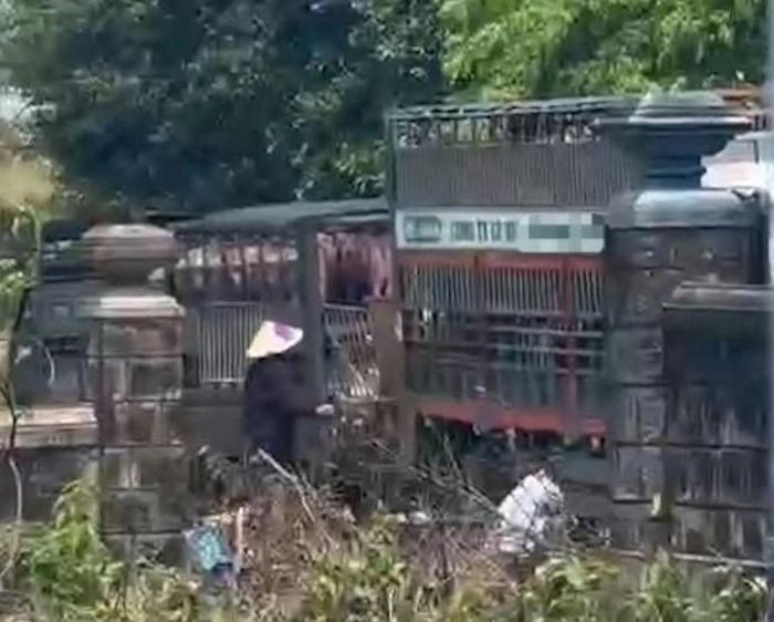 Các đối tượng thực hiện hành vi sang lợn sang các xe nhỏ để thực hiện hành vi vận chuyển, buôn bán, tiêu thụ lợn bệnh. Ảnh: TTXVN