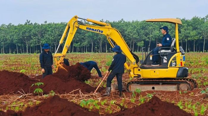 Cán bộ, chiến sĩ Đội K72 tiến hành tìm kiếm tại khu vực xã Minh Đức.
