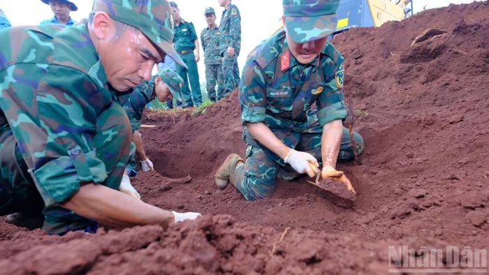 Việc tìm kiếm được thực hiện tỉ mỉ.