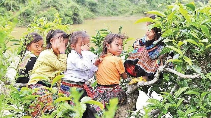 Trẻ em vùng cao. (Ảnh minh họa: ĐĂNG KHOA)