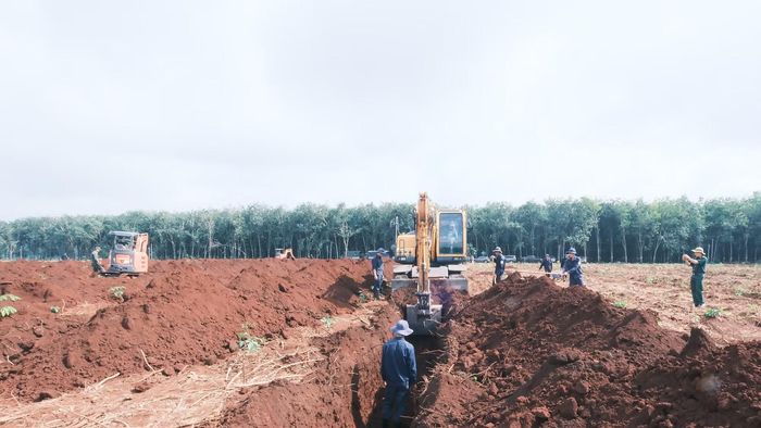 Công tác tìm kiếm hài cốt liệt sĩ tại khu vực xã Minh Đức, thành phố Đồng Nai được triển khai liên tục, không có ngày nghỉ.
