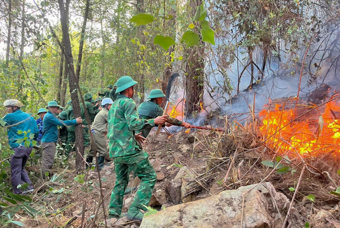 Cán bộ, chiến sĩ Đồn Biên phòng Nhật Lệ tham gia chữa cháy rừng tại tổ dân phố Bảo Ninh 3, phường Đồng Hới (Quảng Trị). Ảnh do đơn vị cung cấp