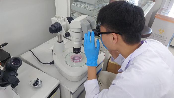 Minh Đức tham gia nhiều dự án nghiên cứu khoa học.