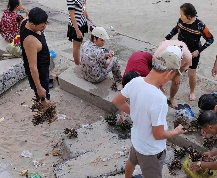 Hành vi khiến dư luận bức xúc