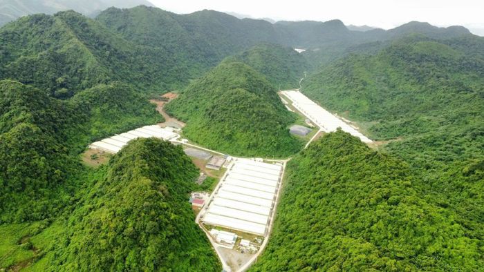 Một góc khu vực trang trại chăn nuôi heo của Công ty TNHH Dabaco ở xã Thạch Quảng, tỉnh Thanh Hóa