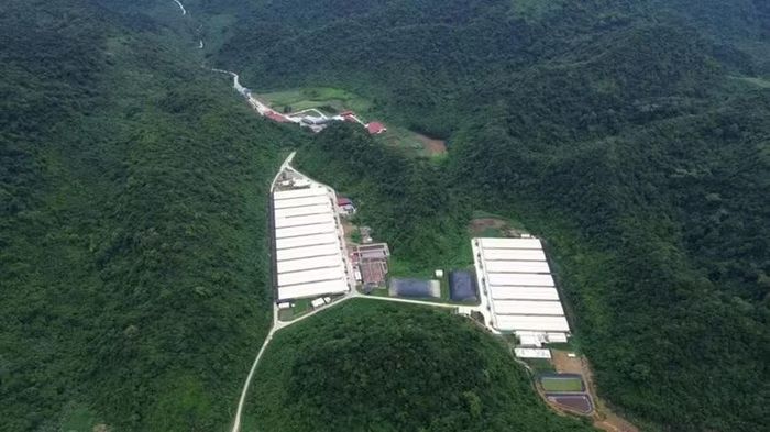 Toàn cảnh trang trại lợn xảy ra vụ tai nạn đặc biệt nghiêm trọng tại tỉnh Thanh Hóa. Ảnh: nongnghiepmoitruong.vn