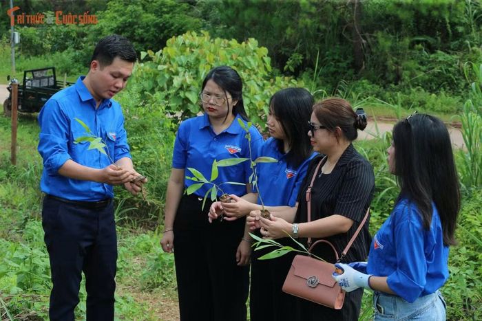 Ông Hoàng Thanh Tùng - Ủy viên Ban Thường vụ Liên minh Hợp tác xã hướng dẫn kỹ thuật trồng cây cho Đoàn Thanh niên Liên hiệp Hội Việt Nam
