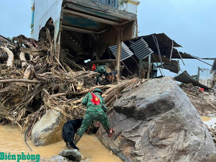 Cán bộ, huấn luyện viên và chó nghiệp vụ của Trường Trung cấp 24 Biên phòng vượt qua dòng nước, đá lớn và cây gỗ ngổn ngang để tìm kiếm người mất tích tại bản Chít, xã Mường Than, tỉnh Lai Châu. Ảnh: Văn Nghĩa