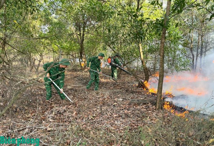 Cán bộ, chiến sĩ Đồn Biên phòng Nhật Lệ tham gia chữa cháy rừng tại tổ dân phố Bảo Ninh 3, phường Đồng Hới. Ảnh: Hoài Nam