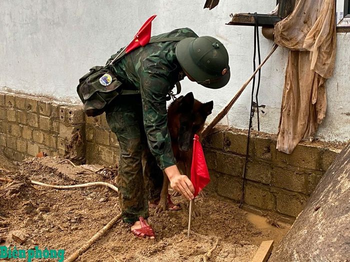 Huấn luyện viên và chó nghiệp vụ Bộ đội Biên phòng phát hiện vị trí nghi có người mất tích bị vùi lấp. Ảnh: Văn Hợi