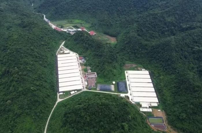Trang trại lợn của Công ty TNHH DABACO ở xã Thạch Quảng. Ảnh: Q.T.