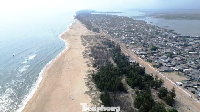 Để thực hiện dự án, TP. Huế chuyển mục đích sử dụng 2,82 ha rừng trồng phòng hộ ven biển Thuận An.