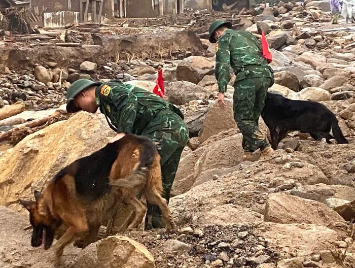 Chó nghiệp vụ Biên phòng được huy động tham gia tìm kiếm nạn nhân mất tích tại xã Mường Than