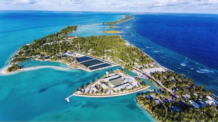 Kiribati, đảo san hô xa xôi ở Nam Thái Bình Dương, cũng đang cùng nhịp đập với World Cup 2026.