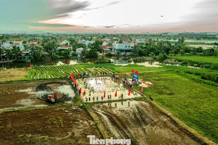 Đảo Hà Nam (TX Quảng Yên cũ) là vùng đất phù sa cổ có gần 40 km đê biển bao trọn, với trên 6 vạn dân, chia làm 2 phường hành chính (phường Phong Cốc và Liên Hòa, sáp nhập từ 2 phường và 4 xã trước kia).