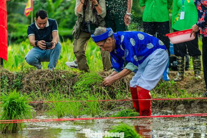 Sau phần thắp hương cầu Thần Nông phù hộ cho mùa màng bội thu, mưa thuận gió hòa, chủ tế lội xuống ruộng, cấy những cây lúa đầu tiên trước sự chứng kiến của dân làng. Theo quy ước được truyền lại từ xưa, sau khi ông chủ tế hoàn thành nghi lễ, mọi người mới chính thức bắt đầu vụ mùa mới.