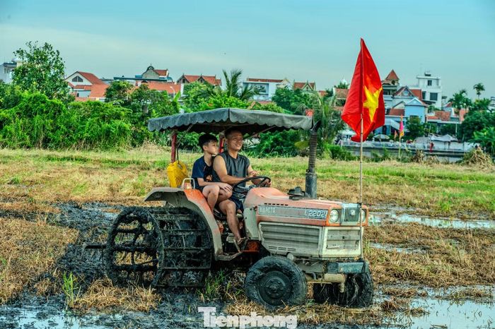 Cùng với hội thi cấy, ngay thửa ruộng bên cạnh diễn ra phần thi bừa ruộng bằng máy. Đây là công đoạn làm đất quan trọng (đặc biệt đối với lúa nước), giúp làm phẳng mặt ruộng, vùi lấp cỏ dại, phân bón, và làm tơi xốp đất