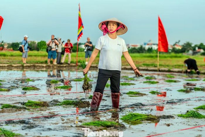 Xuất phát từ tục làm lễ “Hạ điền” và lễ “Thượng điền”, lễ hội xuống đồng đã được người dân đảo Hà Nam nơi đây lưu giữ từ hàng chục năm qua.
