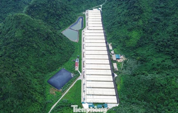 Sau vụ tai nạn, Công an tỉnh Thanh Hóa phối hợp với các đơn vị liên quan phong tỏa hiện trường xảy ra vụ việc, làm rõ nguyên nhân. Chính quyền địa phương cũng yêu cầu doanh nghiệp không tự ý di chuyển tài sản, sửa chữa hoặc làm thay đổi hiện trường, trừ trường hợp cần thiết để cứu người hoặc phòng ngừa nguy cơ tiếp tục xảy ra sự cố. Trong ảnh là một hệ thống chuồng nuôi của trang trại.