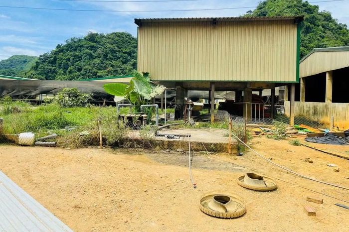 Đến 23h50 cùng ngày, có 7 công nhân được đưa đến Bệnh viện Đa khoa Cẩm Thủy cấp cứu song 5 nạn nhân tử vong. Hiện có 2 người bị thương đang được điều trị tại Bệnh viện Bạch Mai (Hà Nội) là T.V.H và P.V.H. Trong ảnh là hiện trường vụ việc.