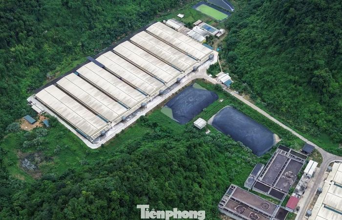 Các khu chuồng nuôi trong trang trại được xây dựng quy mô.