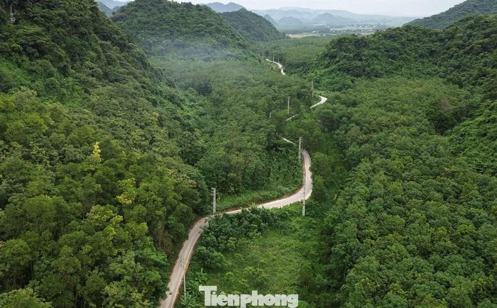 Theo ghi nhận của phóng viên, khu vực xây dựng trang trại nằm trong thung lũng, chỉ có 1 con đường độc đạo từ đường Hồ Chí Minh vào. Bên trong trang trại có 4 khu chuồng nuôi, một khu nhà điều hành, kéo dài dọc thung lũng.