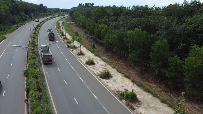 Tuyến đường phía xã Phú Giáo cây xanh với cây sống còi cọc, cây chết đan xen