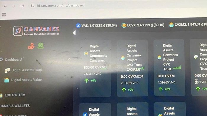 Giao diện trang web CANVANEX.