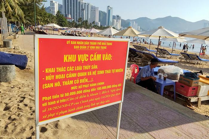 Biển cảnh báo không được hủy hoại cảnh quan và hệ sinh thái san hô. Ảnh: Ngọc Vân