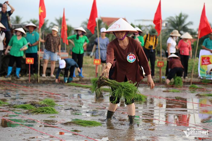 Nông dân chuẩn bị mạ để thi cấy theo từng khu vực đã được phân chia