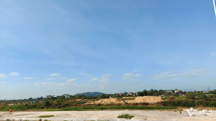 Vùng quy hoạch Đồng Màu tại xã Đô Lương. Ảnh: T.T