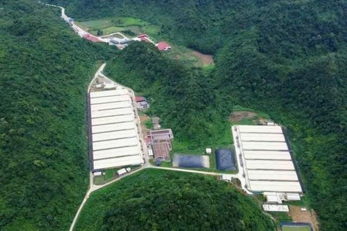 Trang trại lợn nơi xảy ra vụ tai nạn đặc biệt nghiêm trọng khiến 7 người thương vong.